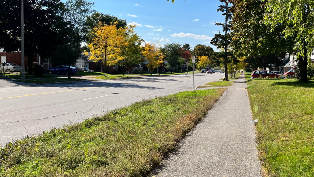Image showing Smyth Road, a four lane road that serves as one of the boundaries of the Riverview Park community.