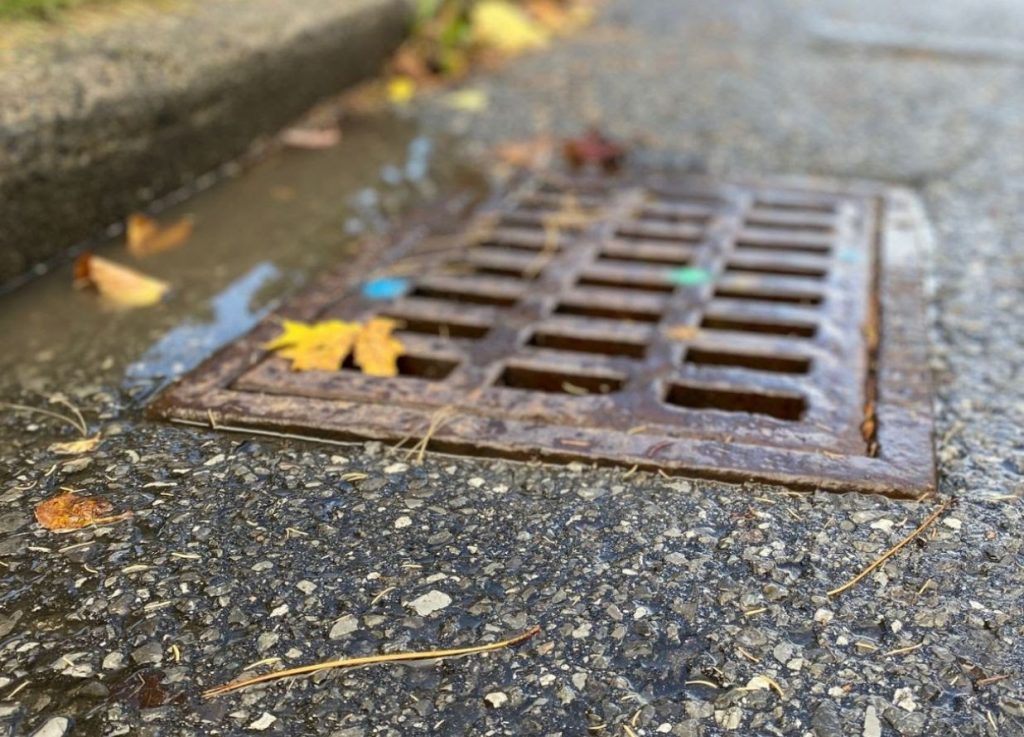 Image of a sewer grate